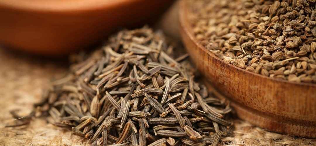 carvi vs cumin : différences, saveurs et usages en cuisine - Épices Fuchs