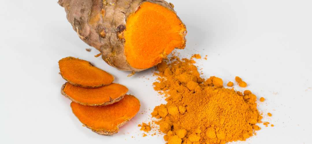 L'Histoire Fascinante du Curcuma : De l'Antiquité à Nos Cuisines - Épices Fuchs