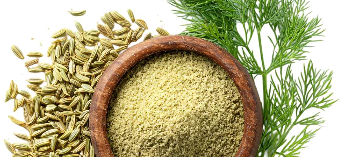 Le fenouil dans la cuisine, frais, moulu, graine