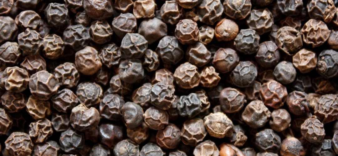 Poivre noir, histoire et Recettes d'une Épice Voyageuse, objet de toutes les passions - Épices Fuchs