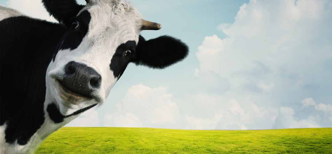 Beurre-et-épices-comment-sublimer-sa-cuisine-avec-les-beurres-composés Épices Fuchs