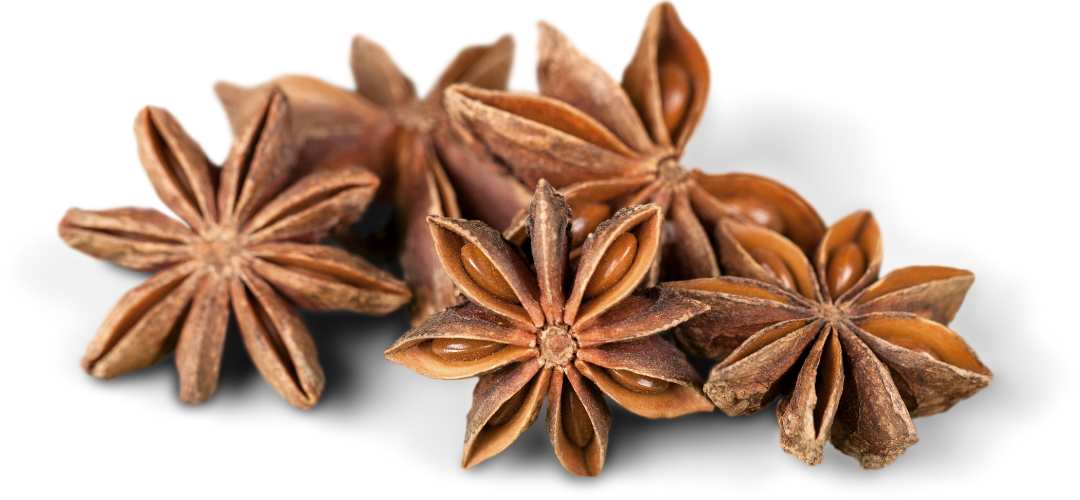 L'Usage de la Badiane (Anis Étoilée) à Travers les Continents