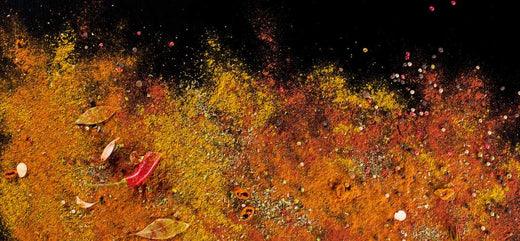 l'histoire du curry : un mélange d'épices aux saveurs du monde - Épices Fuchs