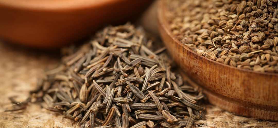 carvi vs cumin : différences, saveurs et usages en cuisine