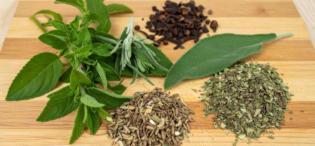 Herbes aromatiques séchées et lyophilisées : un guide pour sublimer votre cuisine Épices Fuchs