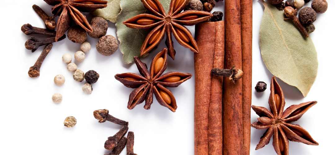 Mélange d'épices maison pour café avec bâtons de cannelle, cardamome et noix de muscade Épices Fuchs