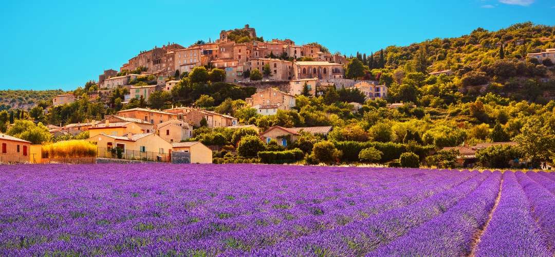 Le-secret-des-herbes-de-Provence-capturer-l-âme-du-Sud-dans-votre-cuisine Épices Fuchs