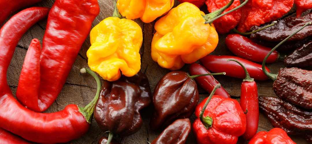 Échelle de Scoville classement 2026 des piments du poivron au Pepper X — infographie Fuchs