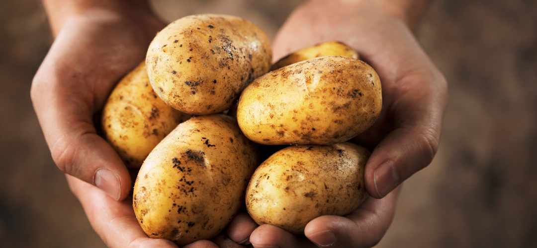Les pommes de terre : sublimer vos plats avec des herbes et épices aromatiques