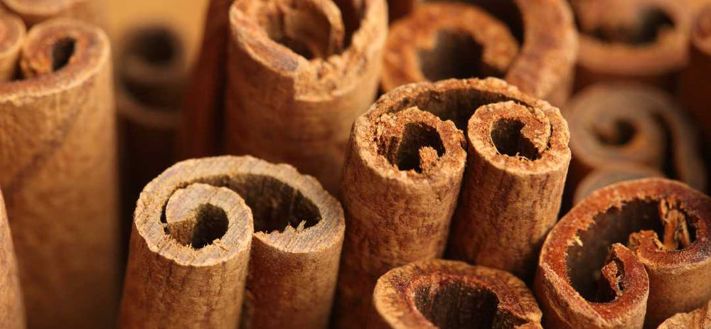 Cannelle-en-spray-bâtons-poudre Épices Fuchs